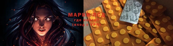спиды Белокуриха
