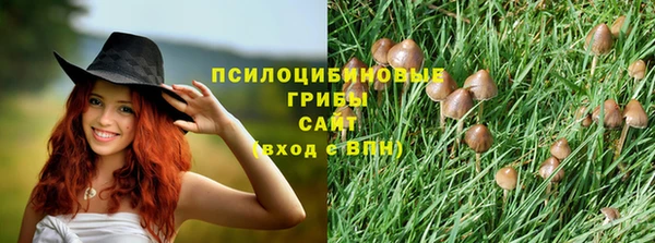 бошки Беломорск