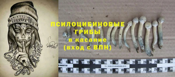 спиды Белокуриха