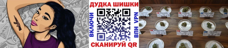 магазин продажи наркотиков  Навашино  Марихуана индика 